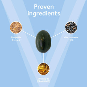 Vetpro Mobility Support with Omega-3's