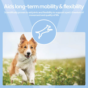 Vetpro Mobility Support with Omega-3's