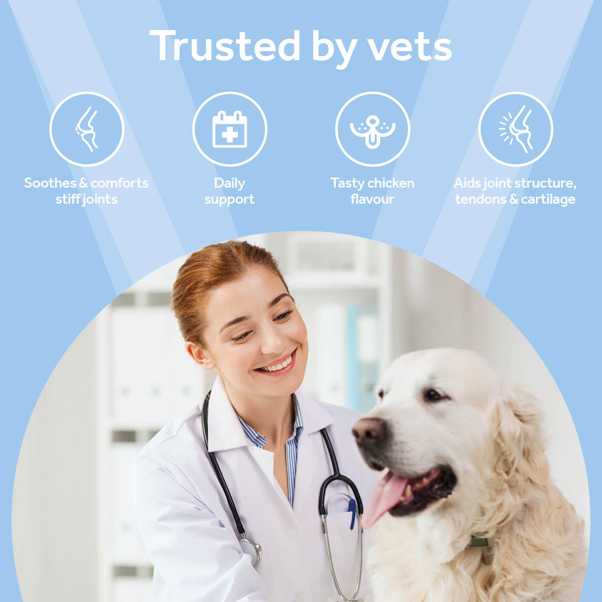 Vetpro Chews Advanced Mobility Support with Omega 3