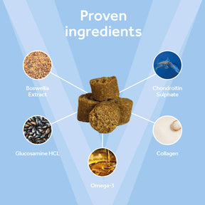 Vetpro Chews Advanced Mobility Support with Omega 3