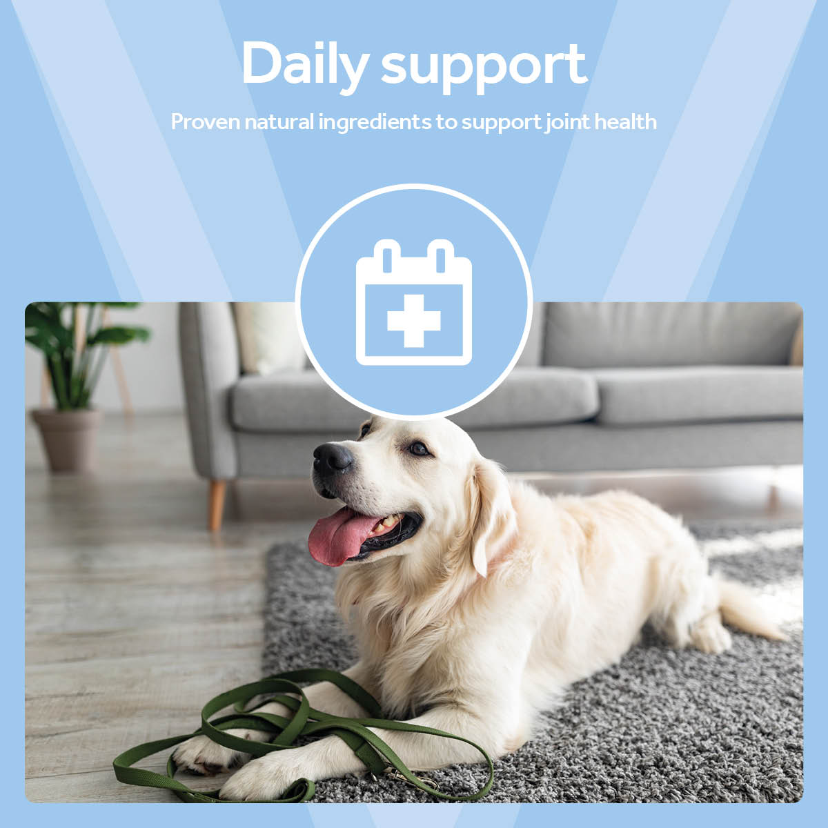 Vetpro Chews Advanced Mobility Support with Omega 3