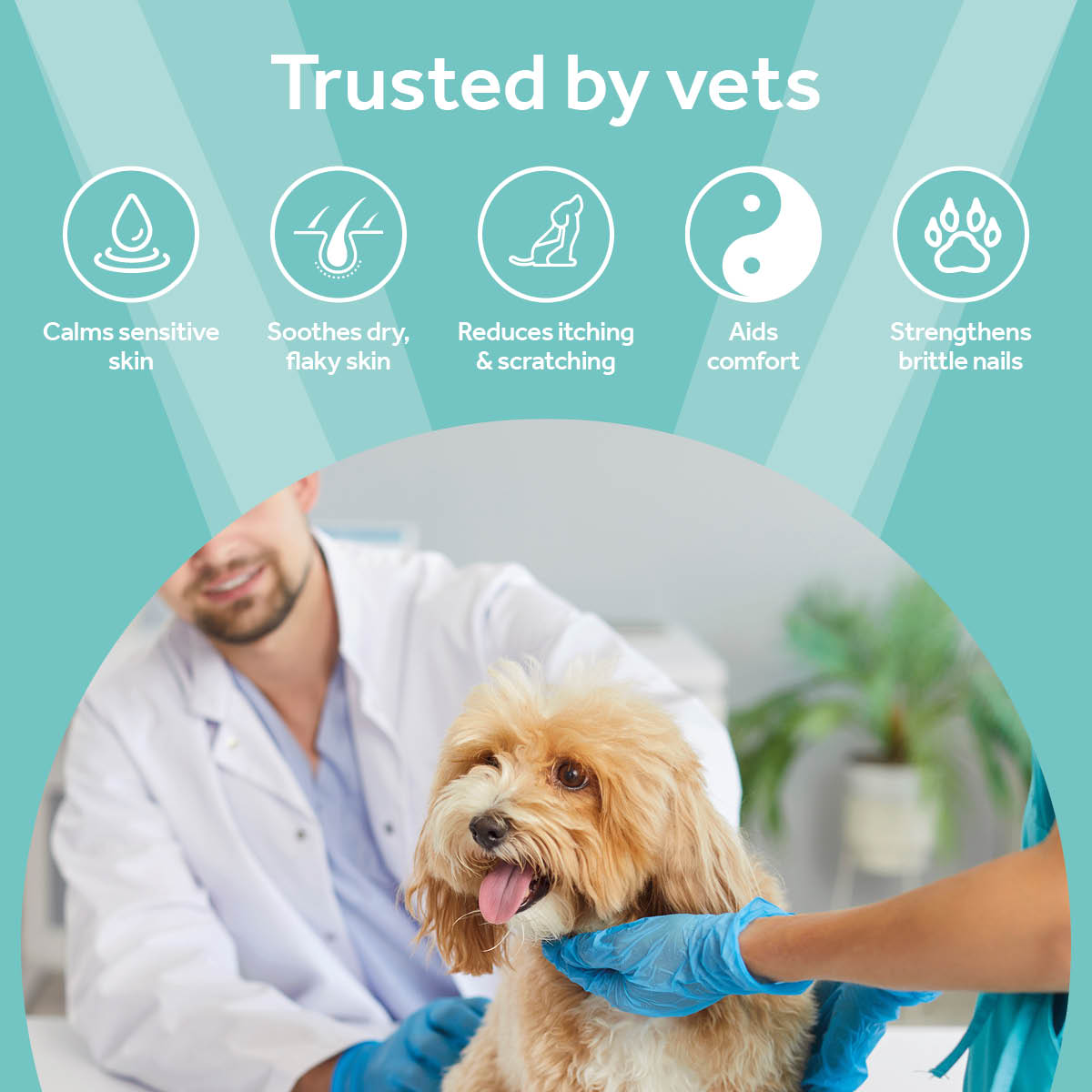 Vetpro Skin & Coat Support
