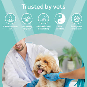 Vetpro Skin & Coat Support