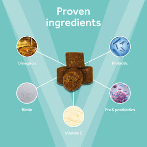 Vetpro Chews Advanced Skin & Coat Support