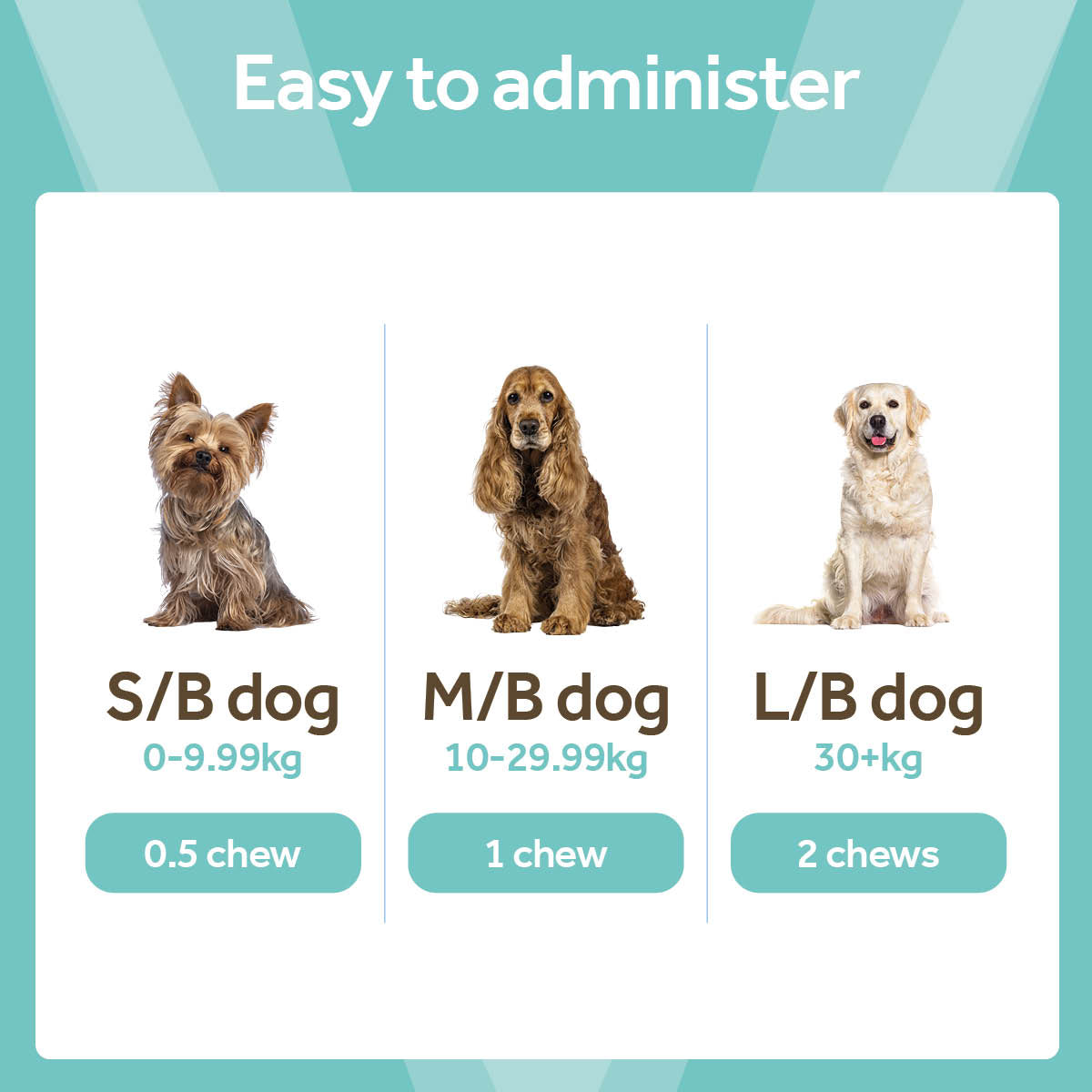 Vetpro Chews Advanced Skin & Coat Support
