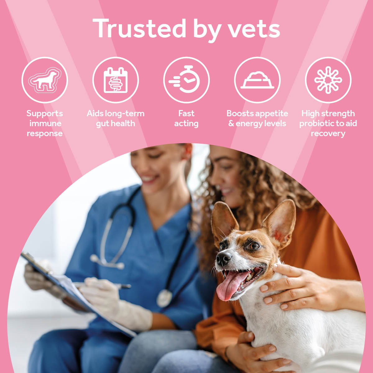 Vetpro Digestive Support