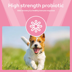 Vetpro Digestive Support