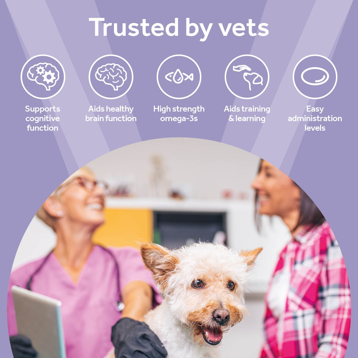 Vetpro Cognitive Support