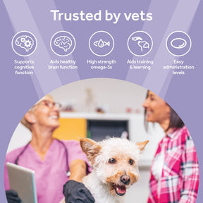 Vetpro Cognitive Support
