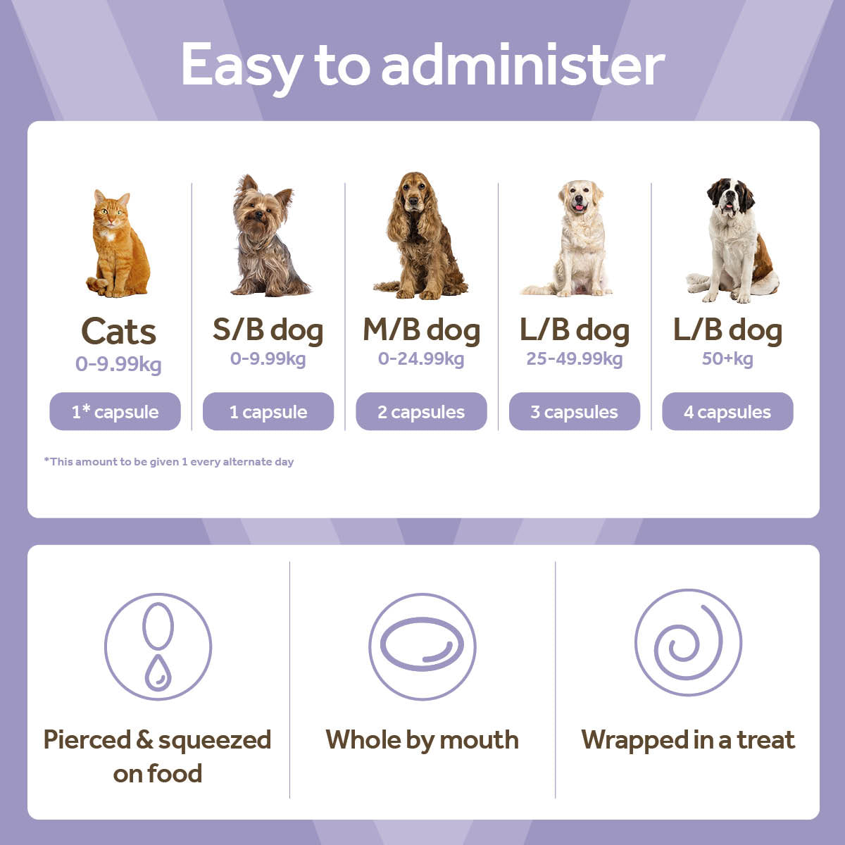 Vetpro Cognitive Support