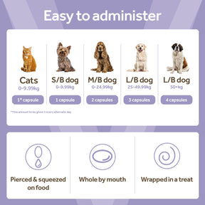 Vetpro Cognitive Support