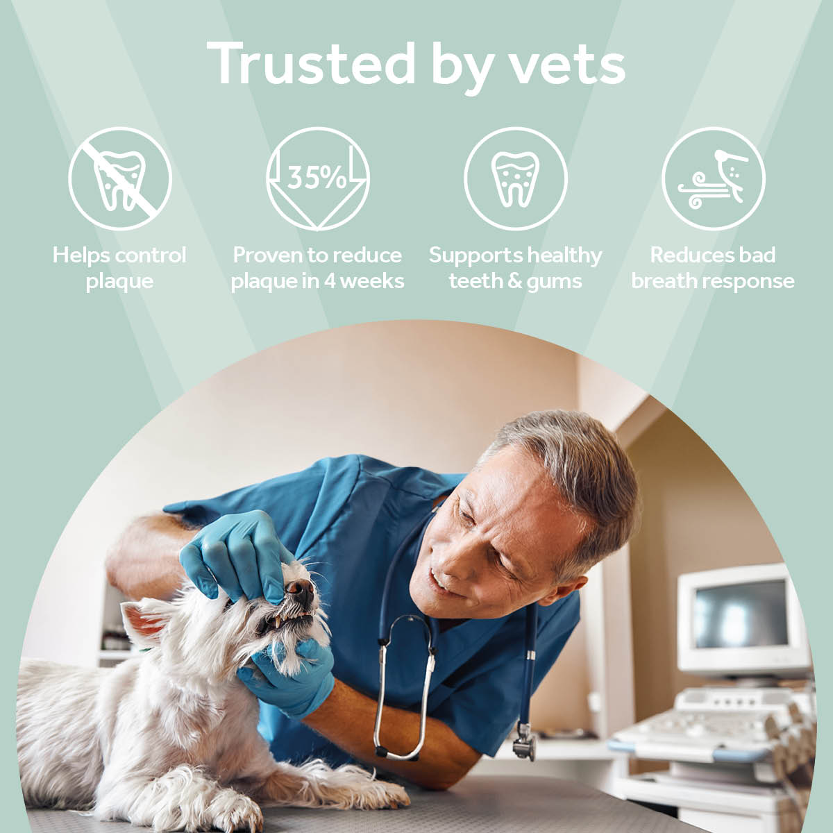 Vetpro Dental Health Support