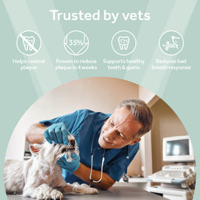 Vetpro Dental Health Support