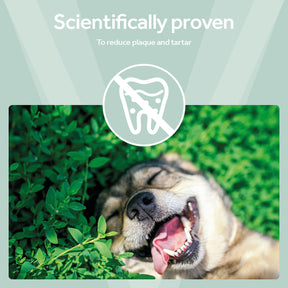 Vetpro Dental Health Support - 120 Capsules