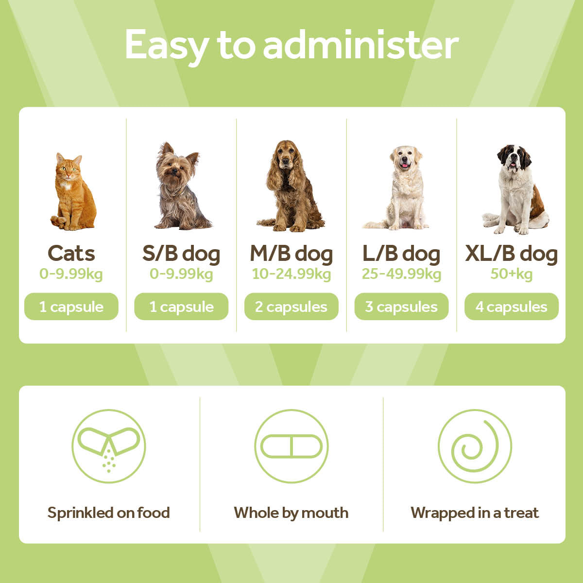 Vetpro Calming Support