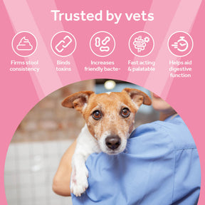 Vetpro Digestive Function Probiotic Paste