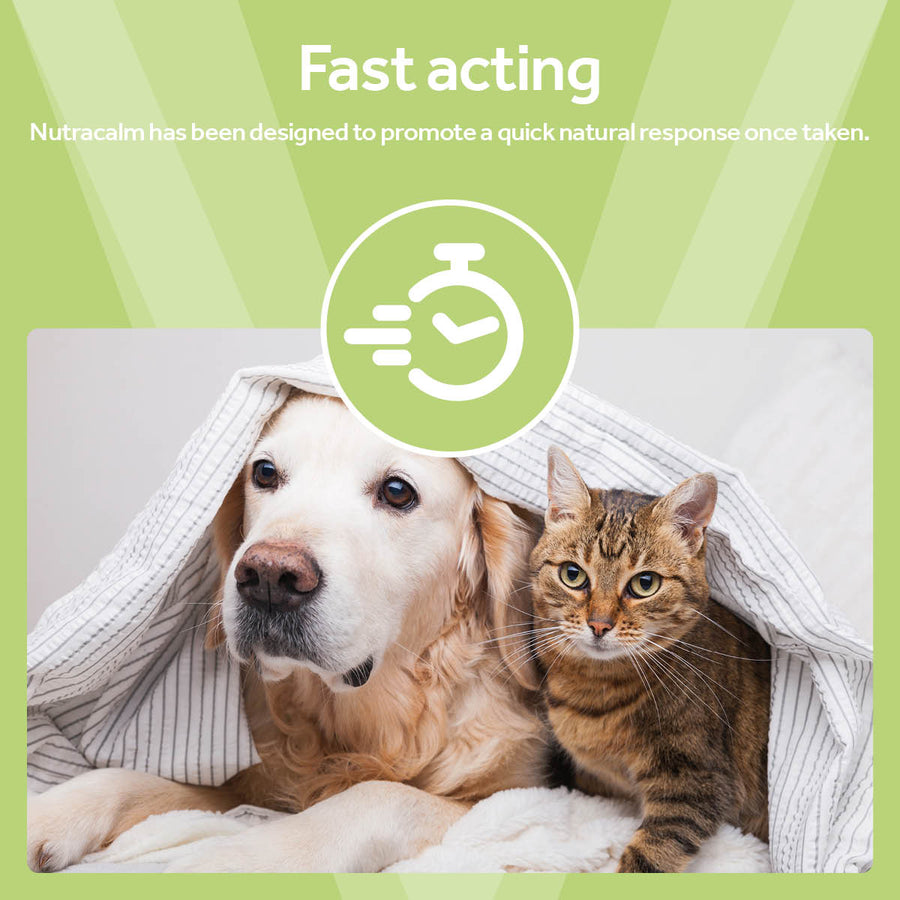 Vetpro Calming Support