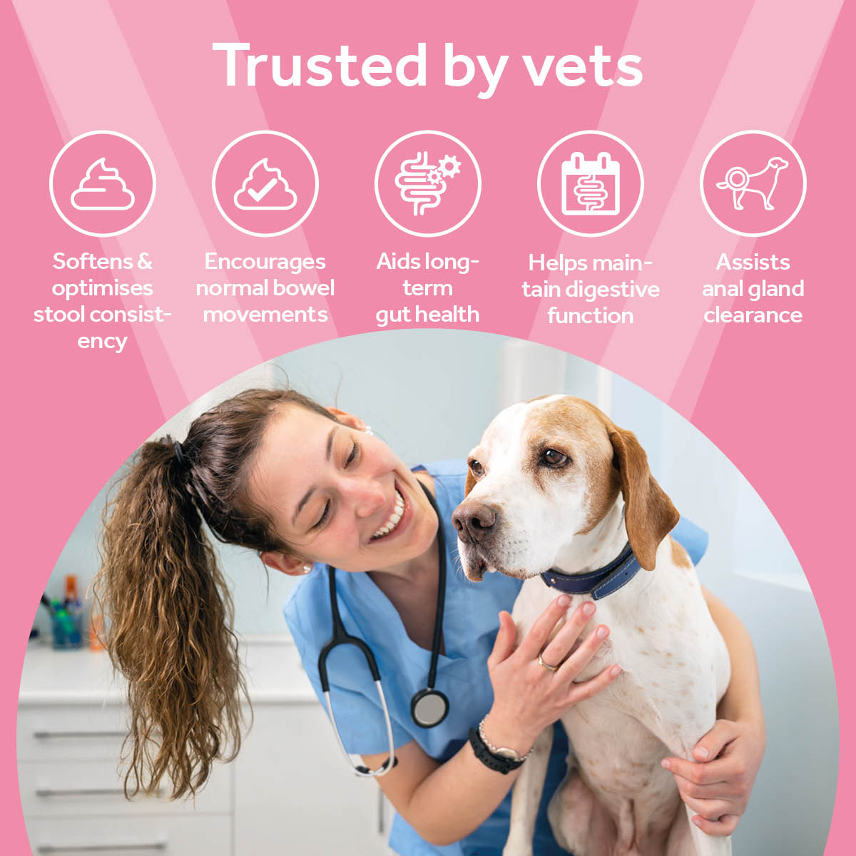 Vetpro Digestion & Anal Gland Support with high fibre