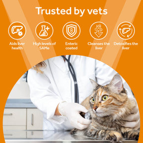 Vetpro Liver Support