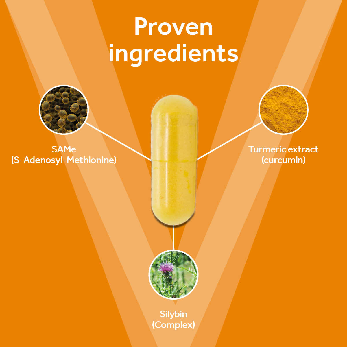 Vetpro Liver Support