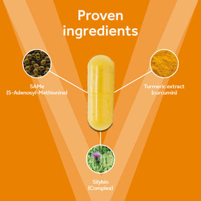 Vetpro Liver Support