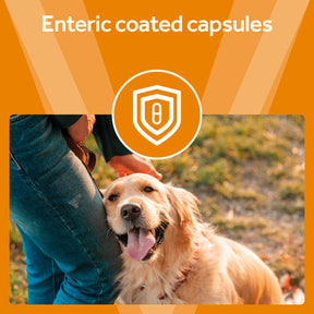 Vetpro Liver Support