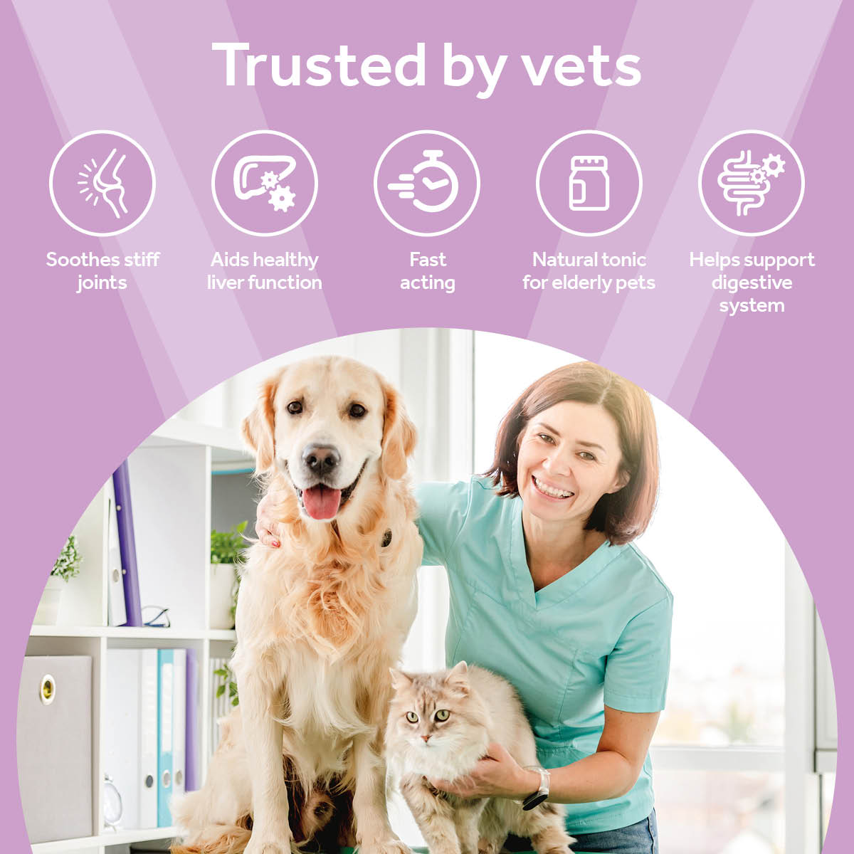 Vetpro Senior Support