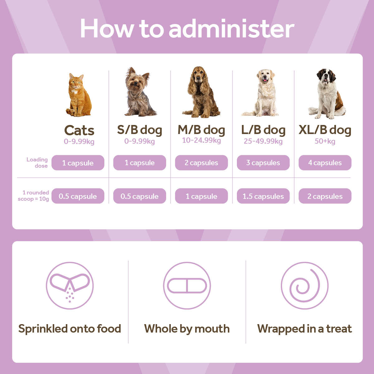 Vetpro Senior Support
