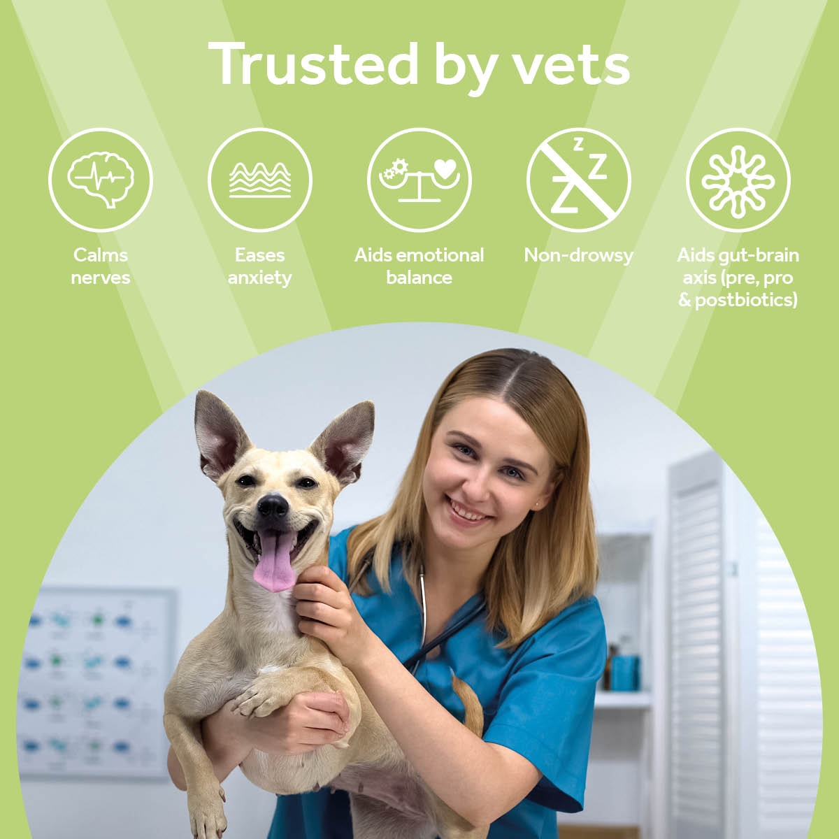 Vetpro Chews Calming Support