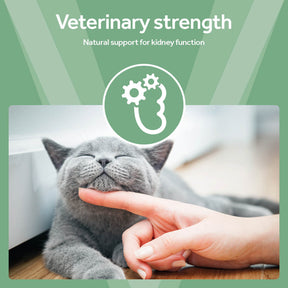 Vetpro Renal Support