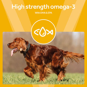 Vetpro Omega-3 Fish Oil with EPA & DHA (200ml)