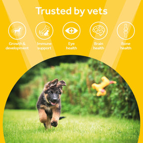 Vetpro Chews Puppy Health & Development