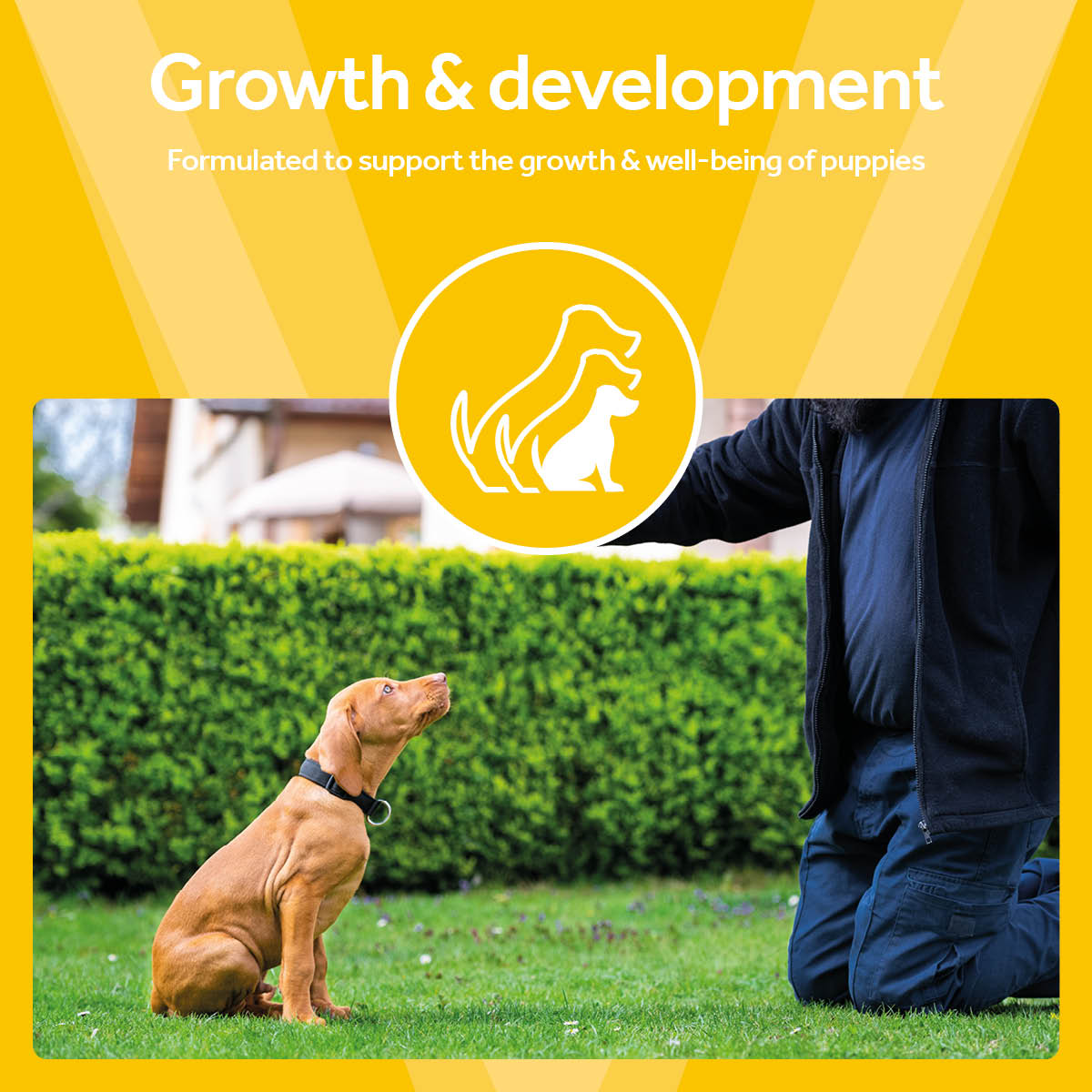 Vetpro Chews Puppy Health & Development