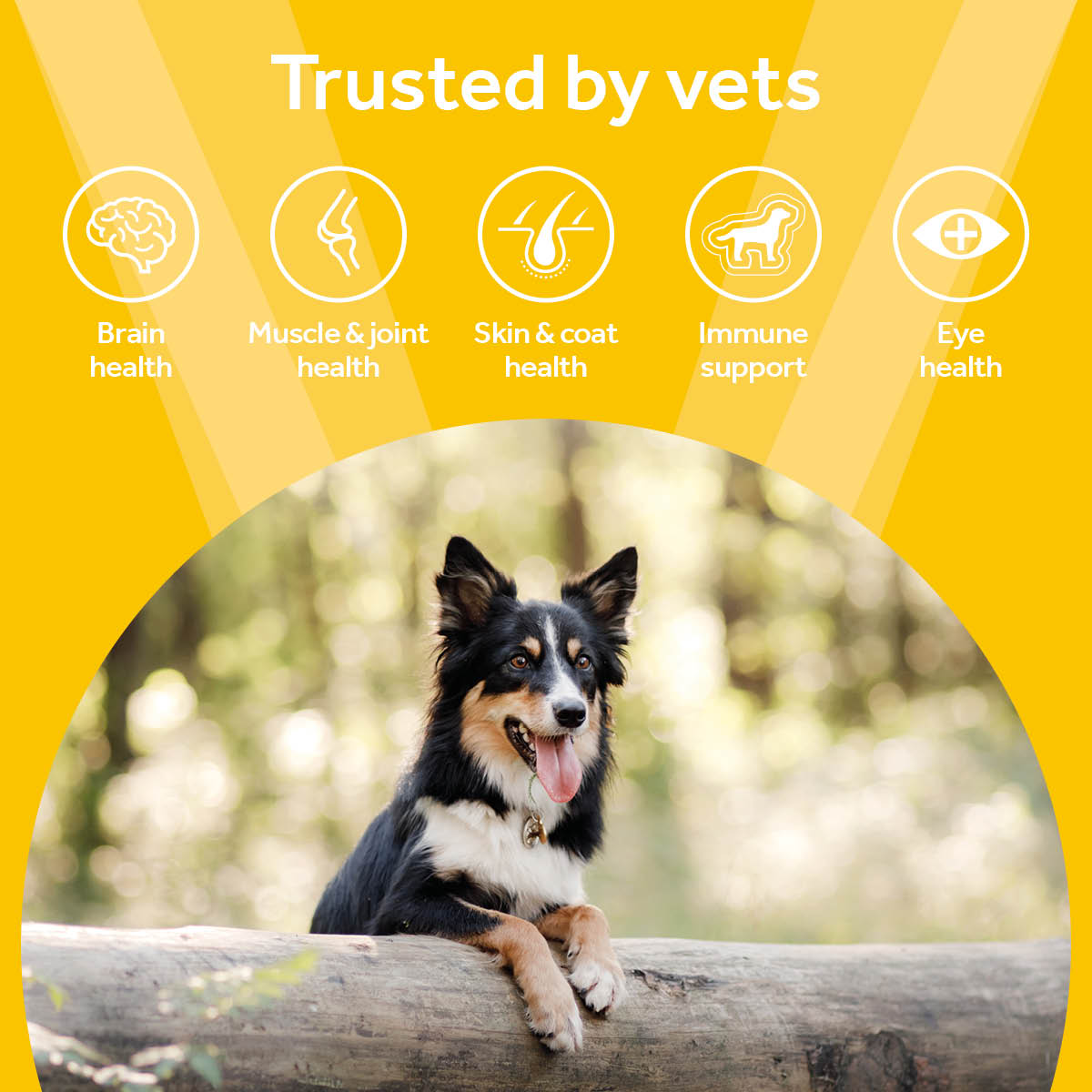 Vetpro Chews Adult Dog Health