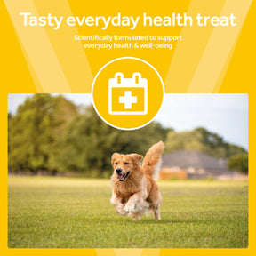 Vetpro Chews Adult Dog Health
