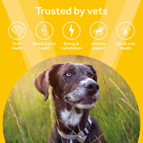 Vetpro Chews Senior Dog Health