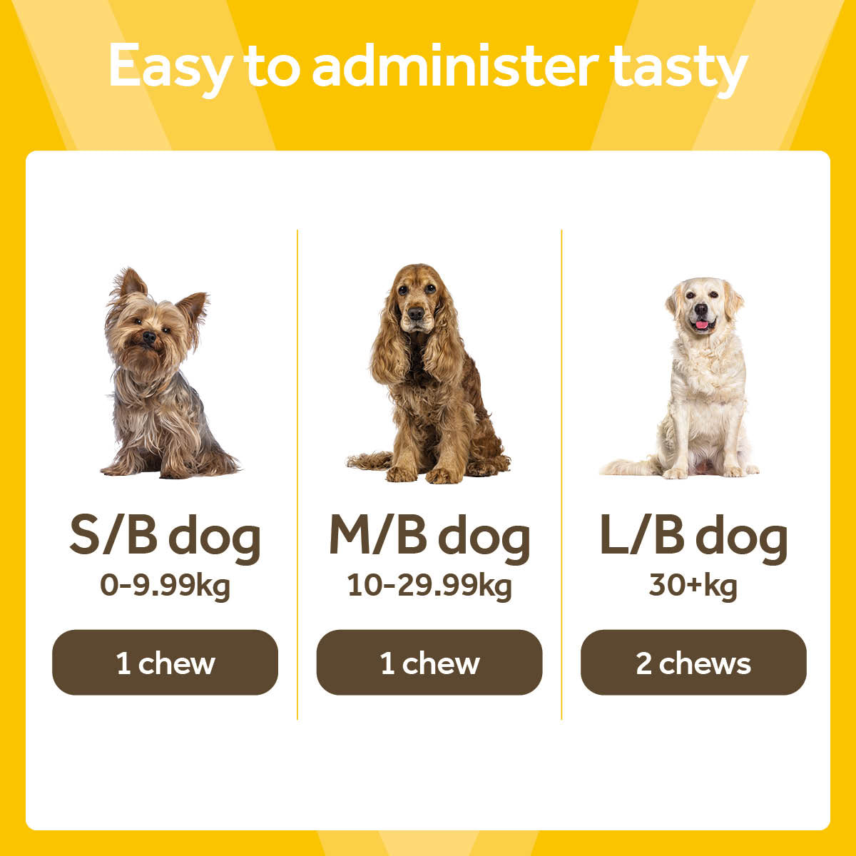 Vetpro Chews Senior Dog Health