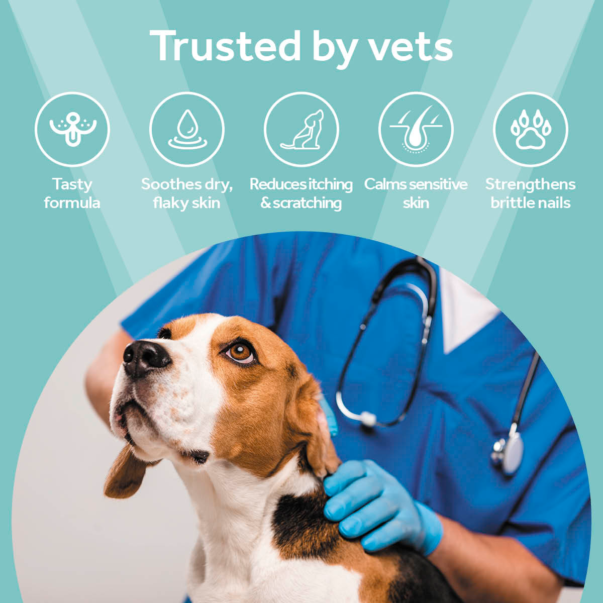 Vetpro Chews Advanced Skin & Coat Support
