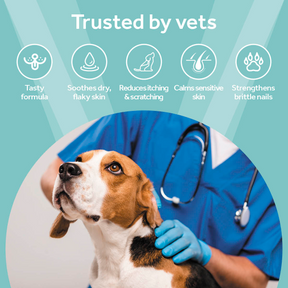 Vetpro Chews Advanced Skin & Coat Support