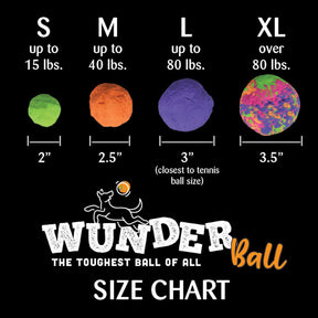 Wunder Ball Dog Toy (3 sizes)