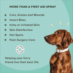 Charlie The Vet Antiseptic Wound & Skin Care Spray