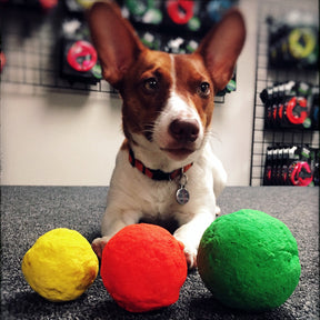 Wunder Ball Dog Toy (3 sizes)