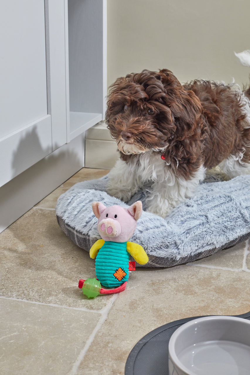 Zoon MiniPlay Pig Dog Toy