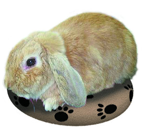 Snuggle Safe Microwave Heatpad For Dogs & Puppies