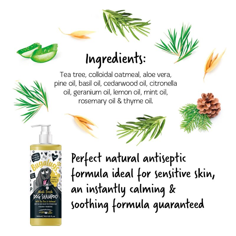 Bugalugs Medi Fresh Dog Shampoo