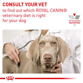 ROYAL CANIN Mobility Support Adult Dry Dog Food