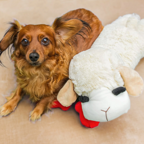 Lamb Chop Soft Dog Toy (3 sizes)