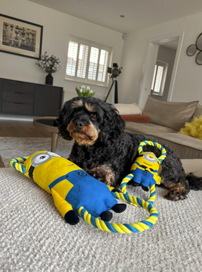 Minion Double Tug Small Dog Toy Assorted