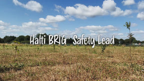 Halti BRIG Safety Lead Neon Coral Large