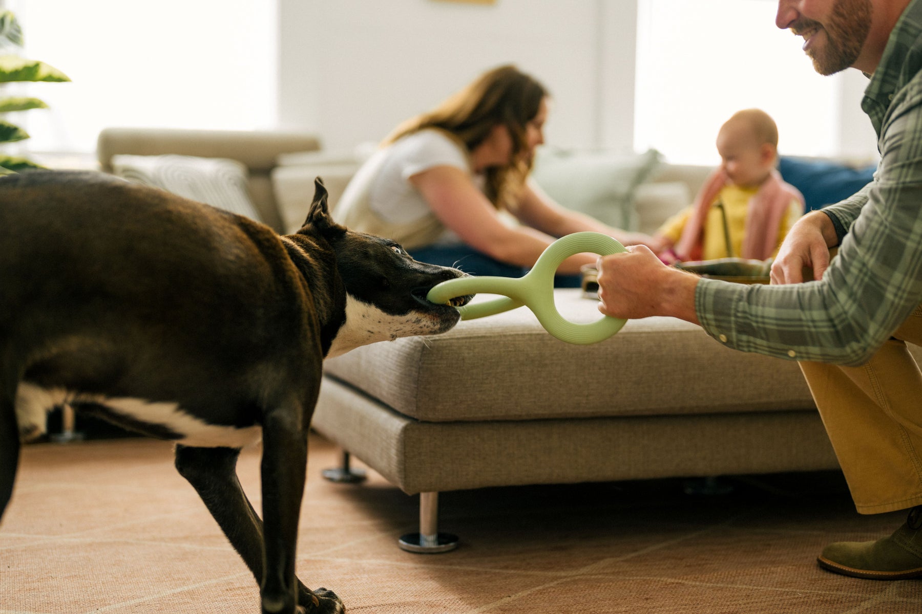 Earth Rated Tug Toy Rubber (2 sizes)